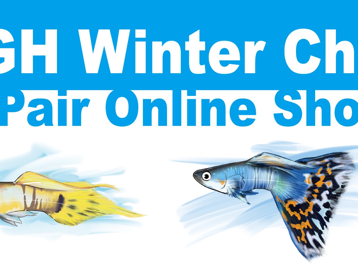 2021/22 IKGH Online Winter Championship TGMS Taiwan pair&nbsp;show