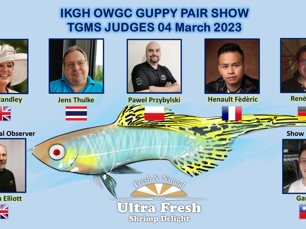 2022/23 IKGH Online Winter Championship TGMS Taiwan Pair&nbsp;Show