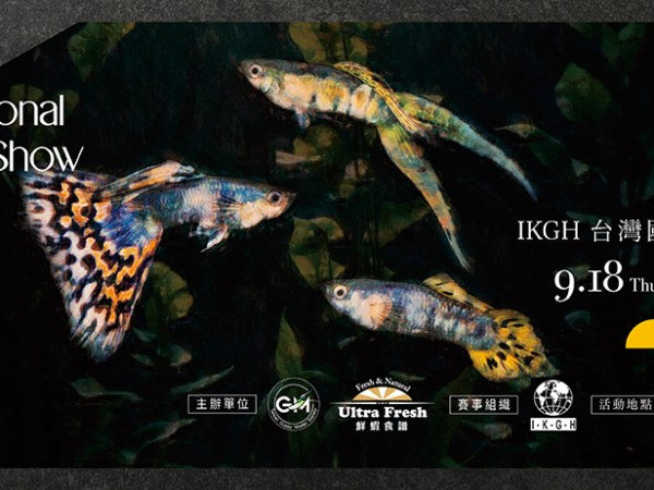 2025台灣國際孔雀魚大師公開賽