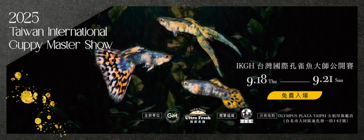 2025台灣國際孔雀魚大師公開賽